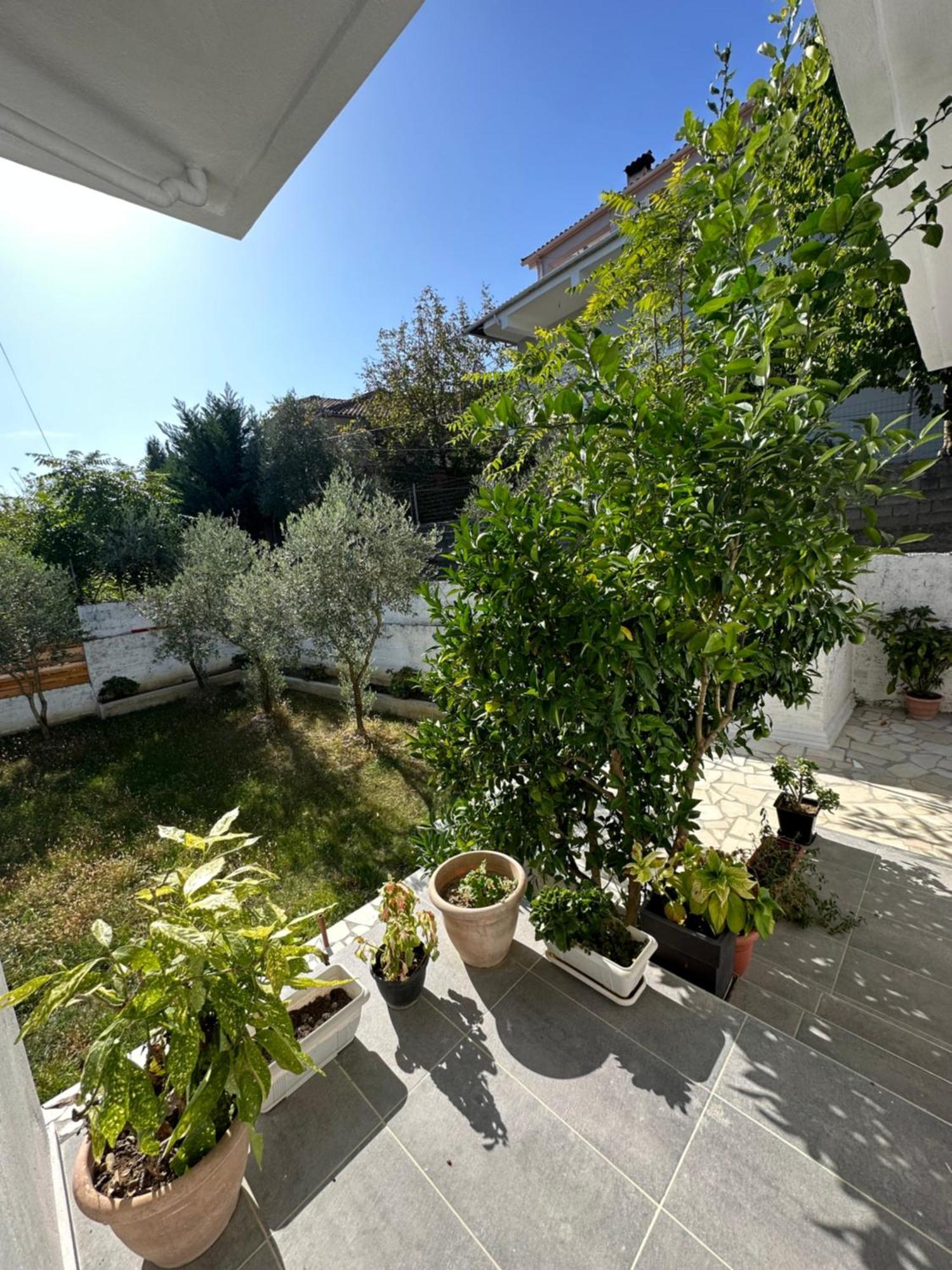 Villa Braho Gjirokastra Kültér fotó