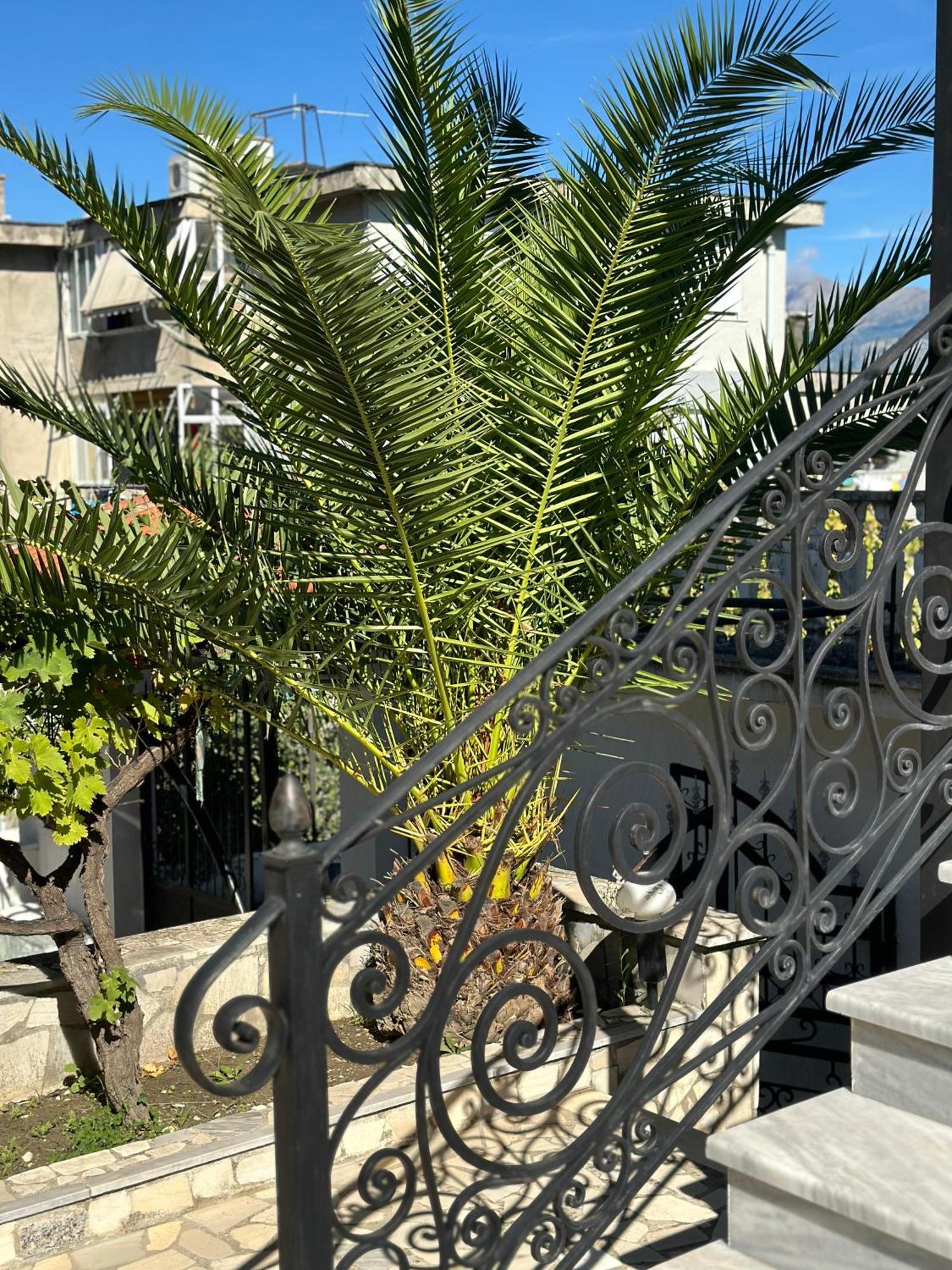 Villa Braho Gjirokastra Kültér fotó