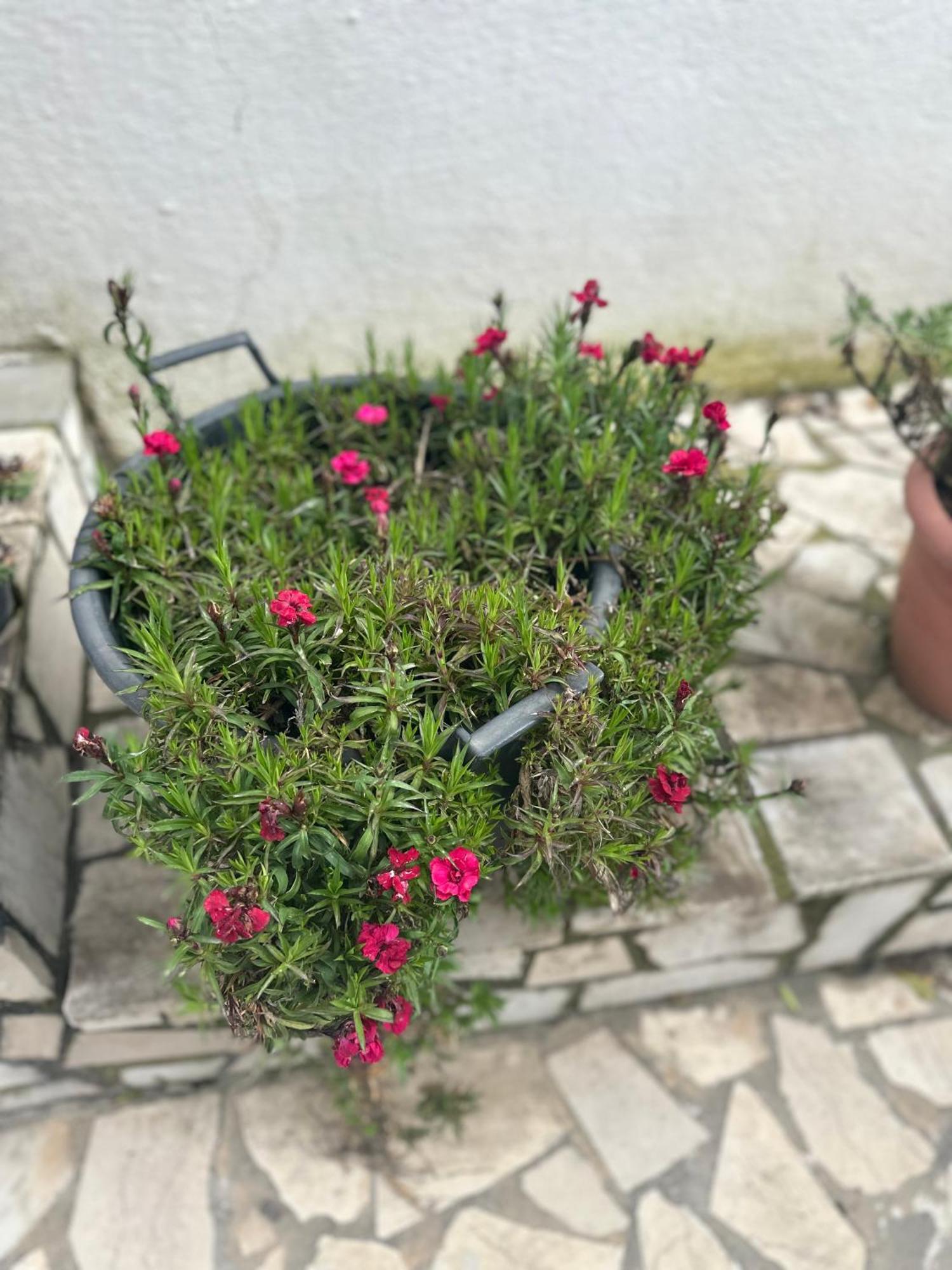 Villa Braho Gjirokastra Kültér fotó