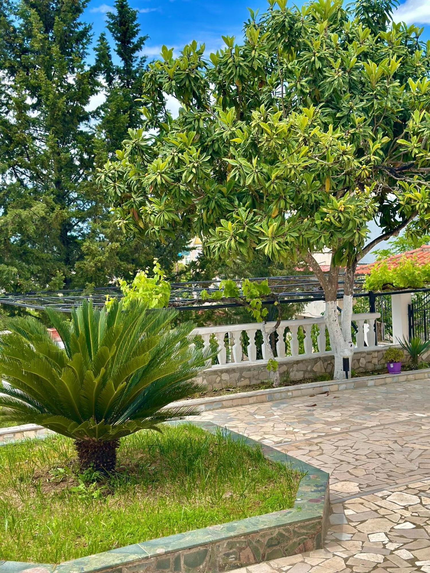 Villa Braho Gjirokastra Kültér fotó