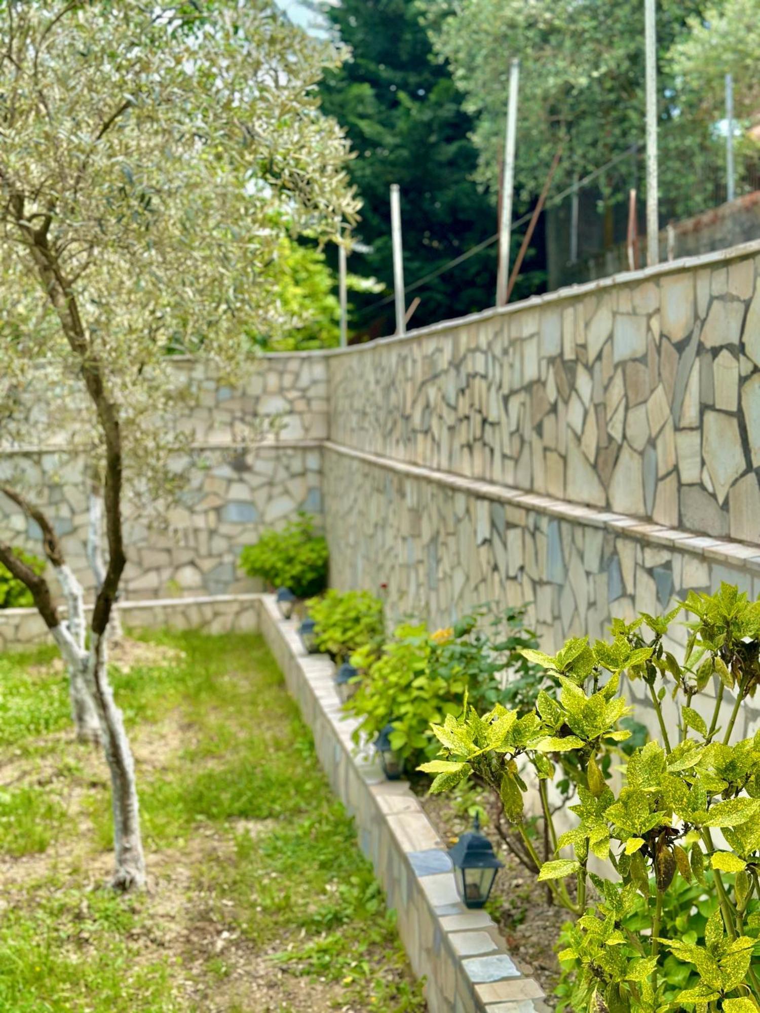 Villa Braho Gjirokastra Kültér fotó